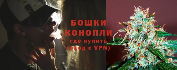 сатива Богданович