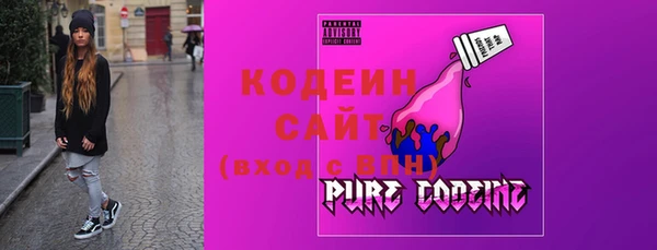 твердый Инсар