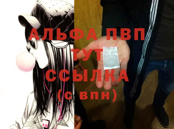 сатива Богданович