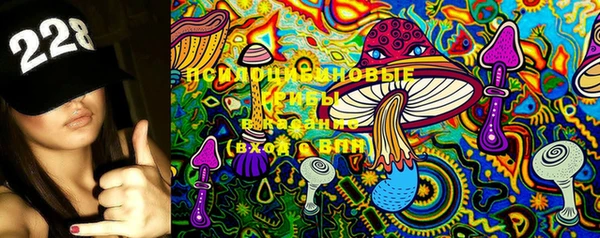 сатива Богданович