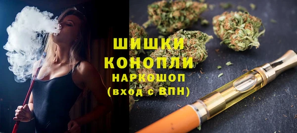 сатива Бронницы